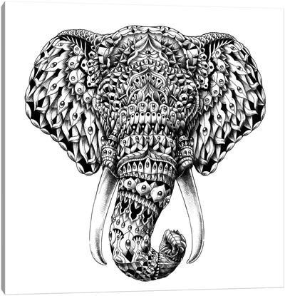 Ornate Elephant Head Canvas Art Print - Wildlife Art