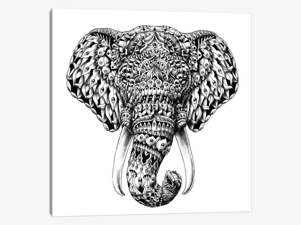 Ornate Elephant Head by Bioworkz 1-piece Art Print