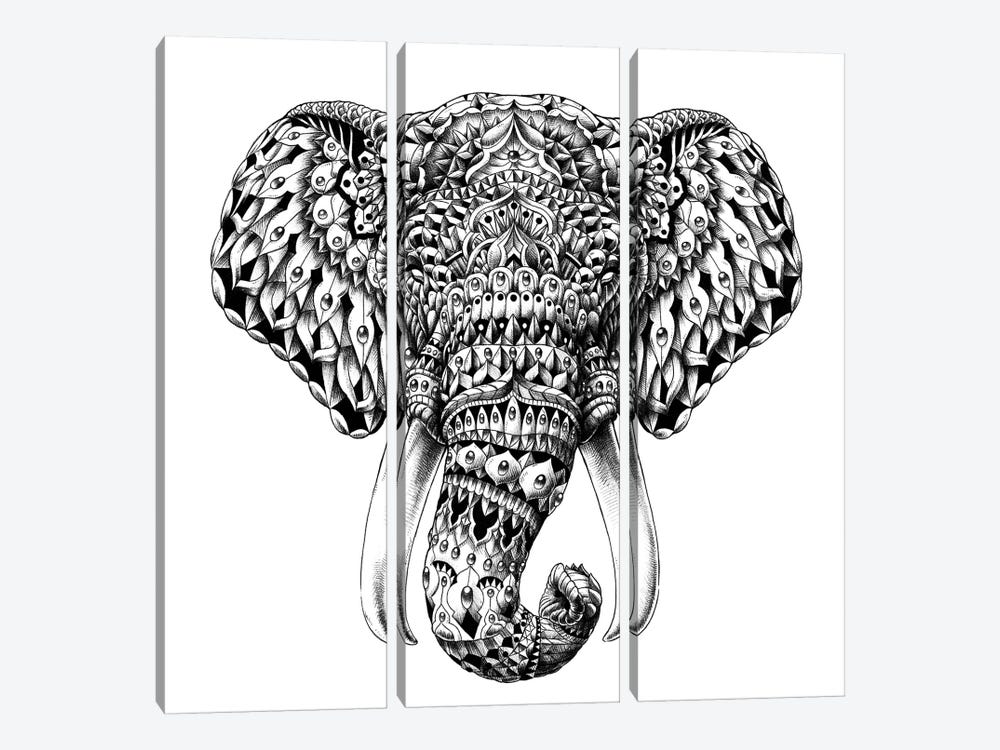 Ornate Elephant Head by Bioworkz 3-piece Canvas Print