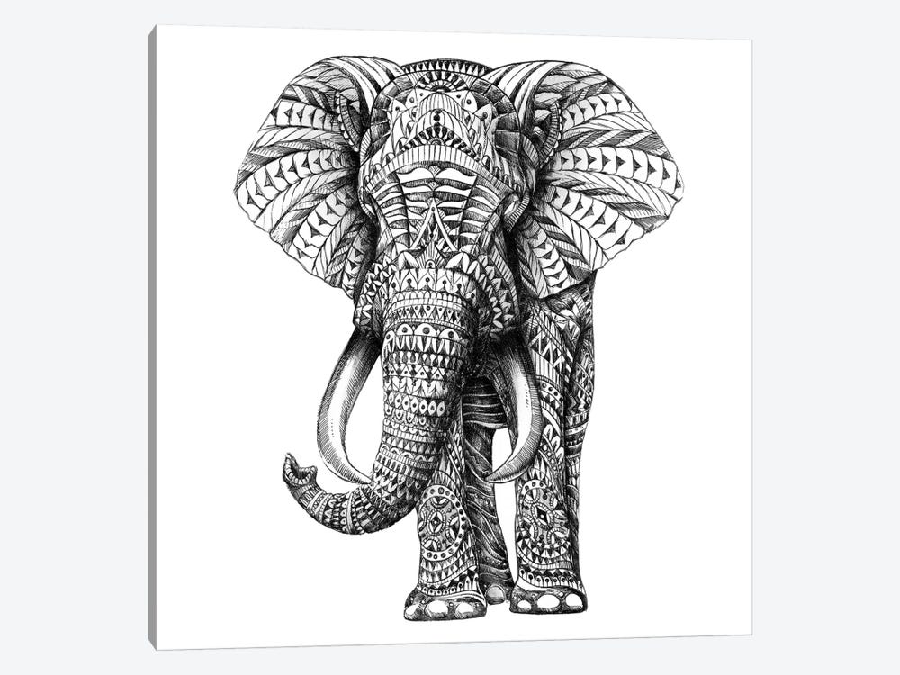 Ornate Elephant I by Bioworkz 1-piece Canvas Art