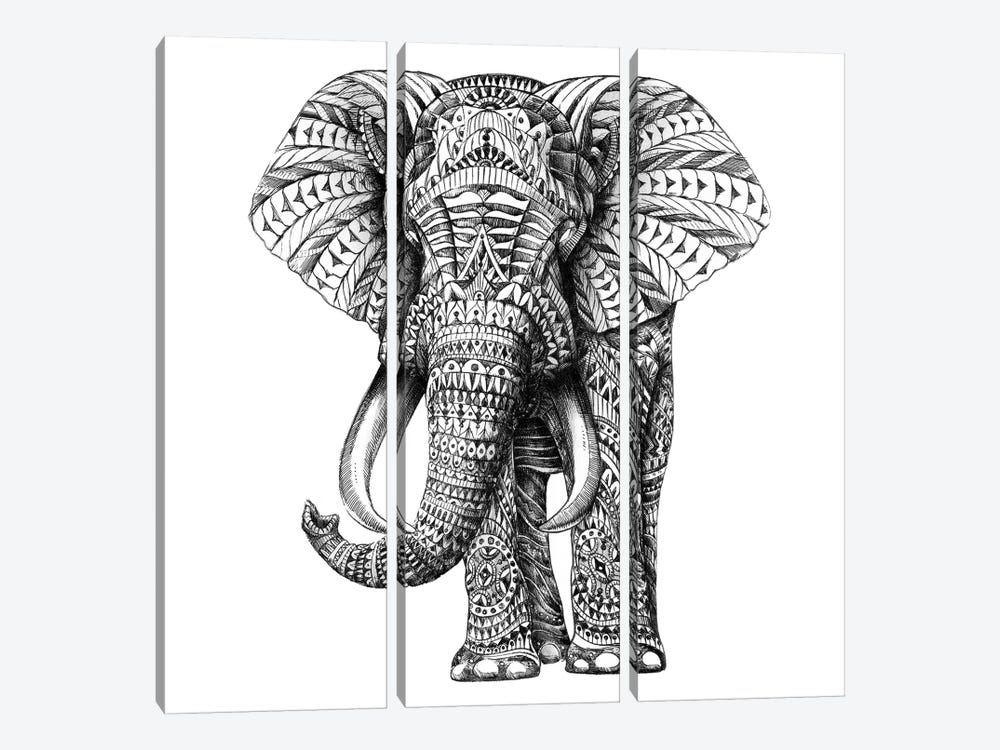 Ornate Elephant I by Bioworkz 3-piece Canvas Art