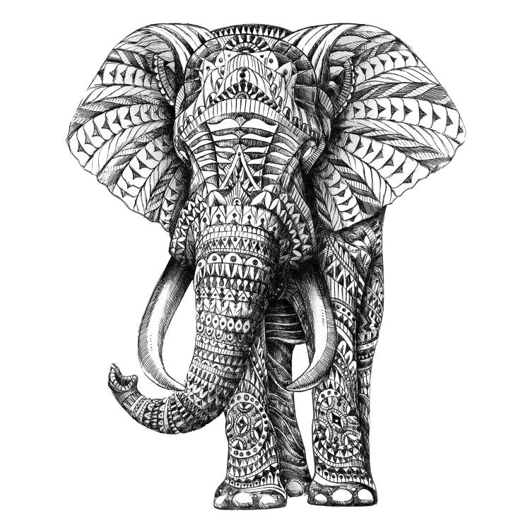 Ornate Elephant I