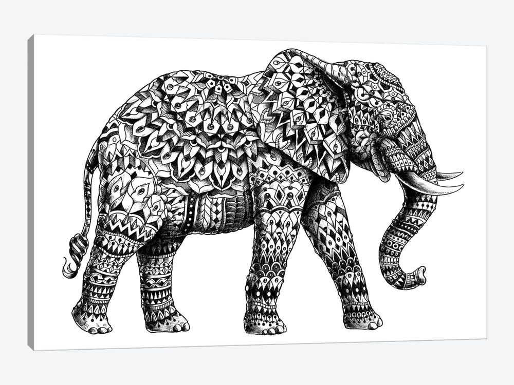 Ornate Elephant II by Bioworkz 1-piece Canvas Print