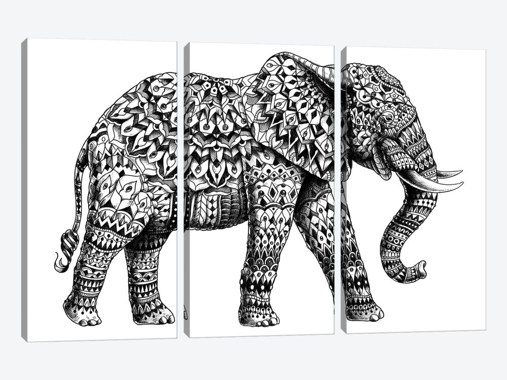 Ornate Elephant II by Bioworkz 3-piece Canvas Art Print