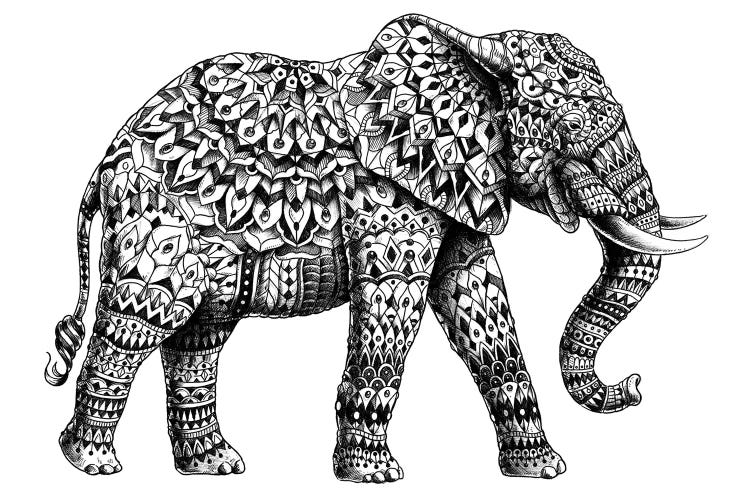 Ornate Elephant II