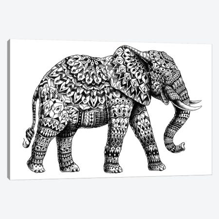 Ornate Elephant II Canvas Print #BWZ19} by Bioworkz Canvas Art