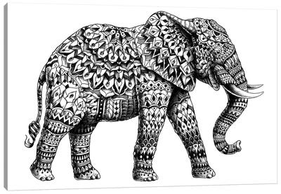 Ornate Elephant II Canvas Art Print - Hand Drawings & Sketches