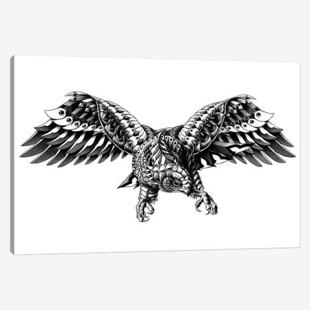 Ornate Falcon Canvas Print #BWZ20} by Bioworkz Canvas Print