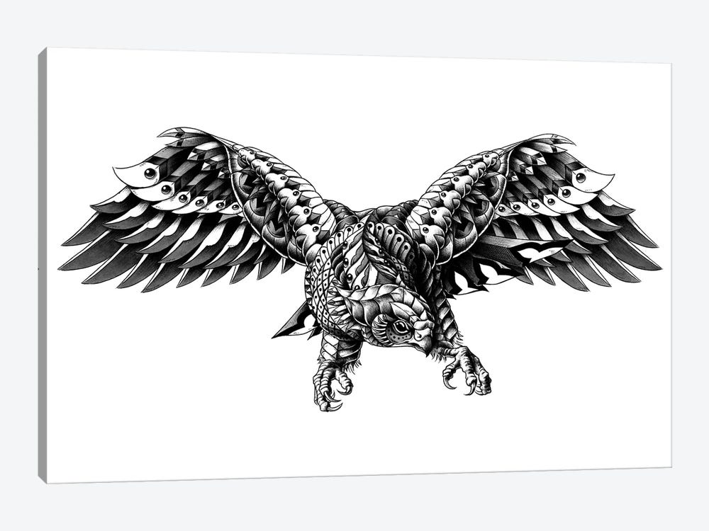 Ornate Falcon by Bioworkz 1-piece Canvas Art Print