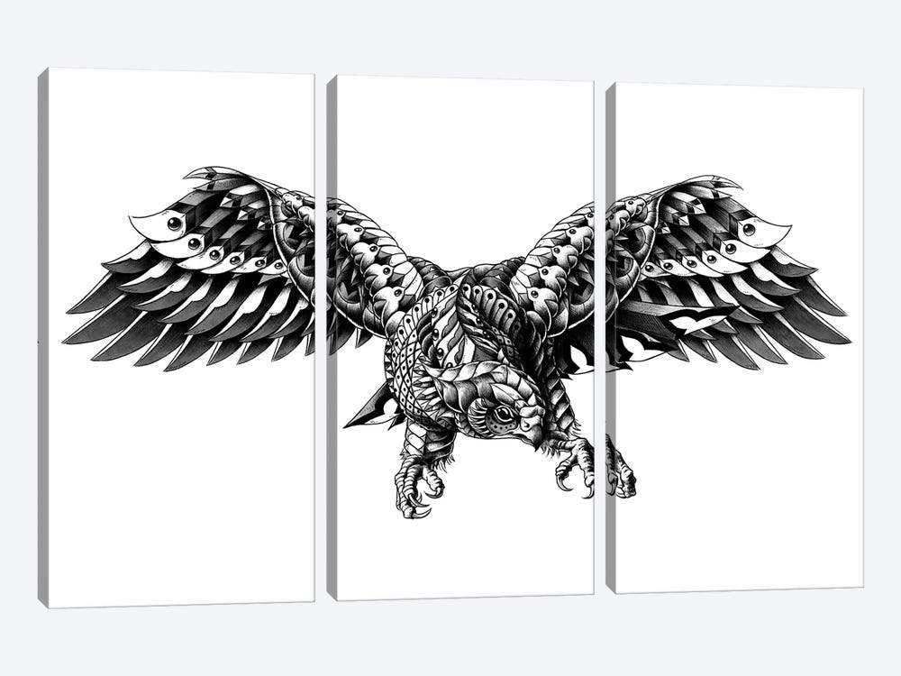 Ornate Falcon by Bioworkz 3-piece Canvas Print