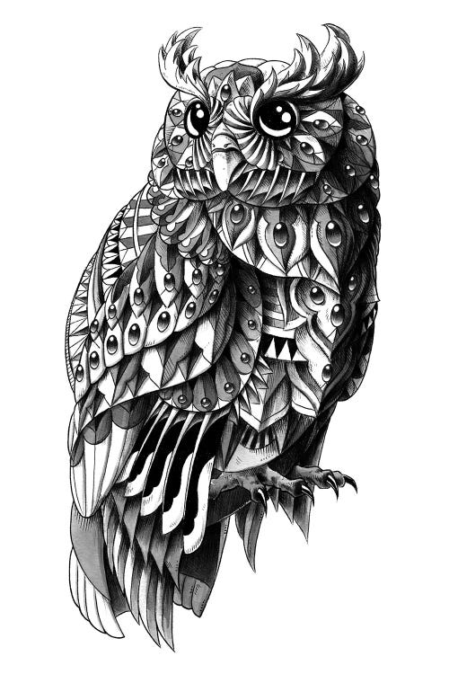 Ornate Owl