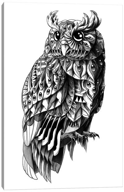 Ornate Owl Canvas Art Print - Bioworkz