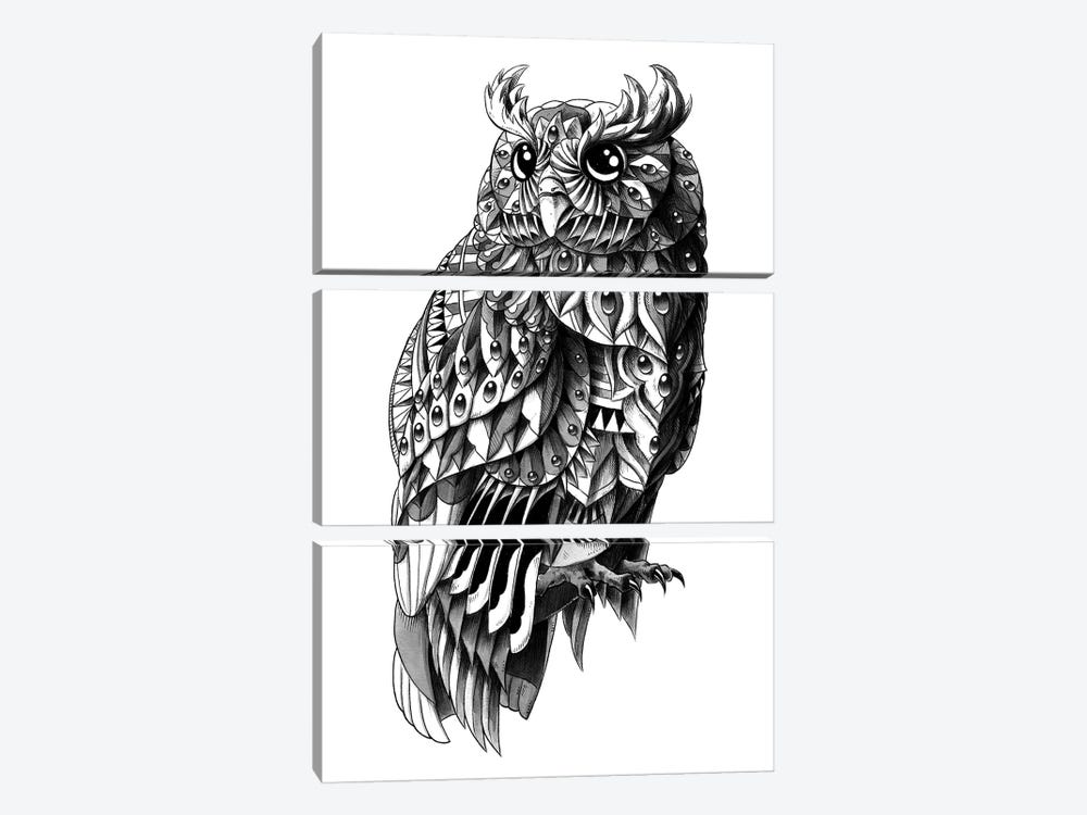 Ornate Owl by Bioworkz 3-piece Canvas Art