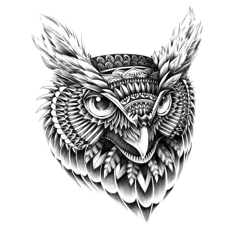 Ornate Owl Head by Bioworkz wall art