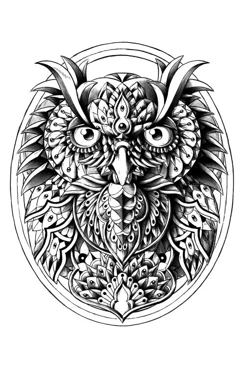 Owl Portrait by Bioworkz wall art