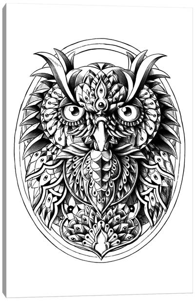 Owl Portrait Canvas Art Print - Bioworkz