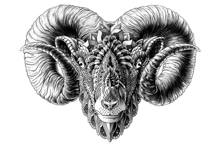 Ram's Head