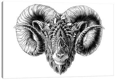 Ram's Head Canvas Art Print - Bioworkz