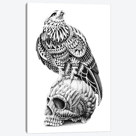 Red-Tailed Skull Canvas Print #BWZ29} by Bioworkz Canvas Art Print