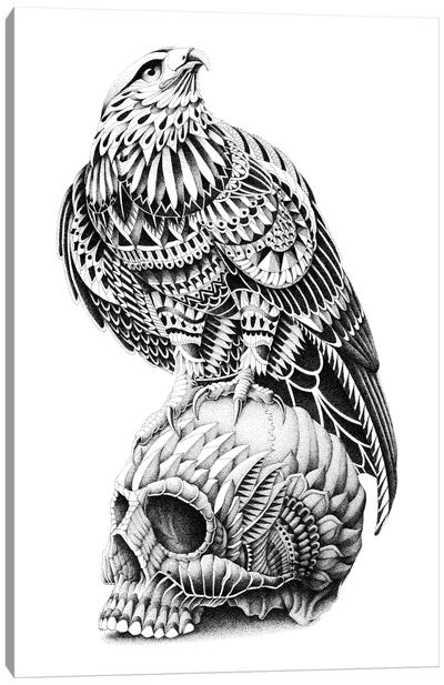 Red-Tailed Skull Canvas Art Print - Bioworkz