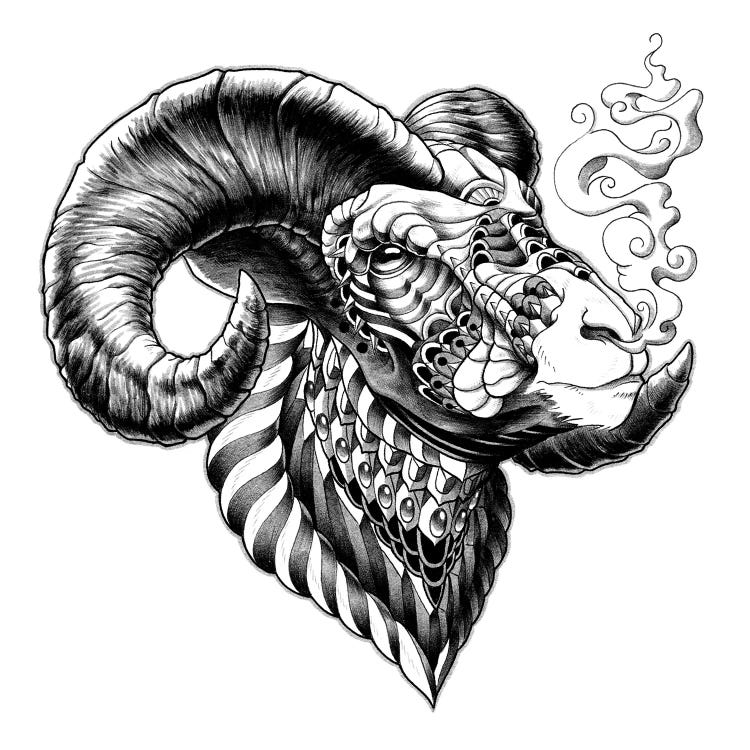 Big Horn Sheep by Bioworkz wall art