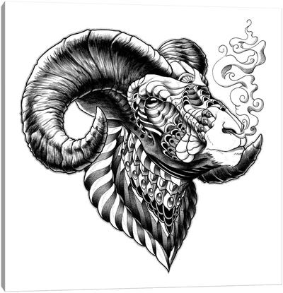 Big Horn Sheep Canvas Art Print - Bioworkz