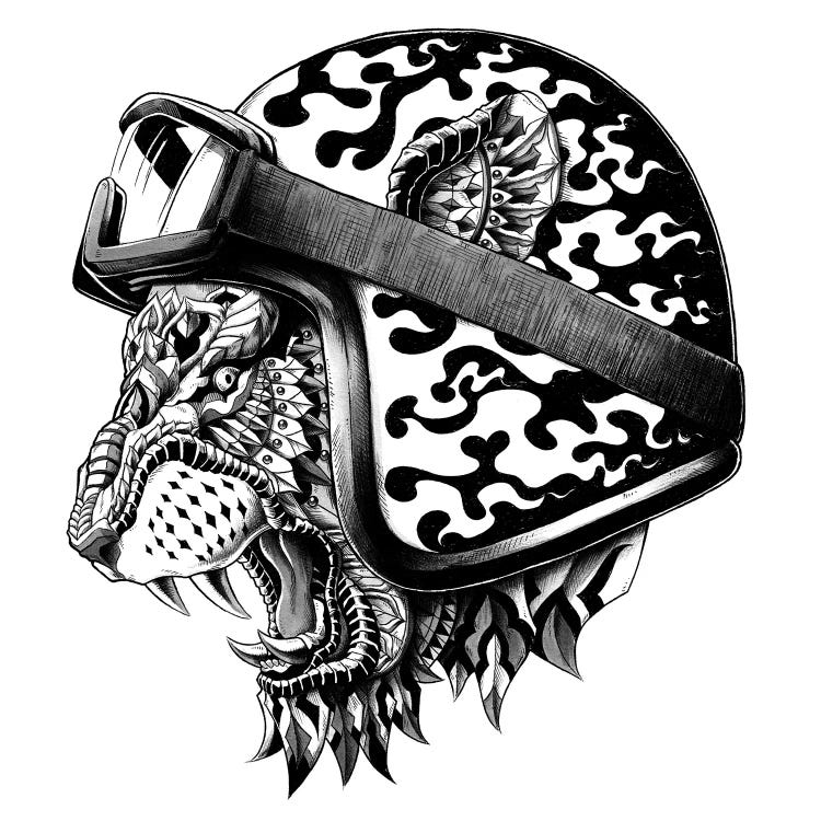 Tiger Helm