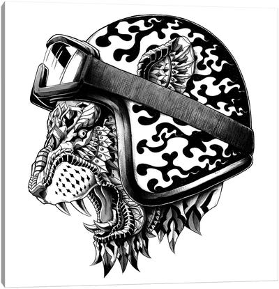 Tiger Helm Canvas Art Print - Bioworkz