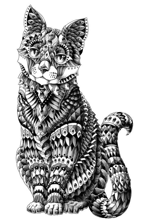 Cat by Bioworkz canvas print