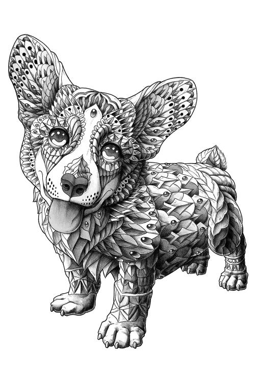 Corgi by Bioworkz wall art