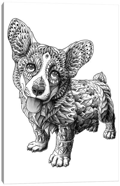 Corgi Canvas Art Print - Puppy Art