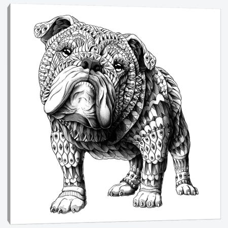 English Bulldog Canvas Print #BWZ48} by Bioworkz Canvas Print