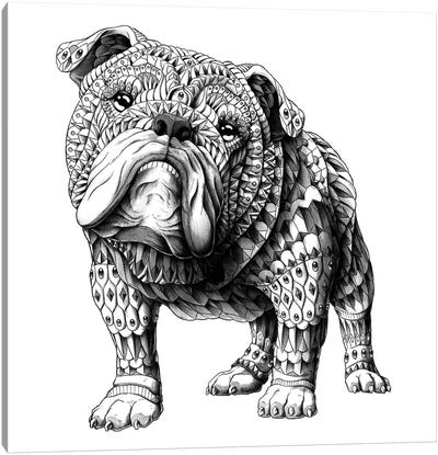 English Bulldog Canvas Art Print - Bioworkz