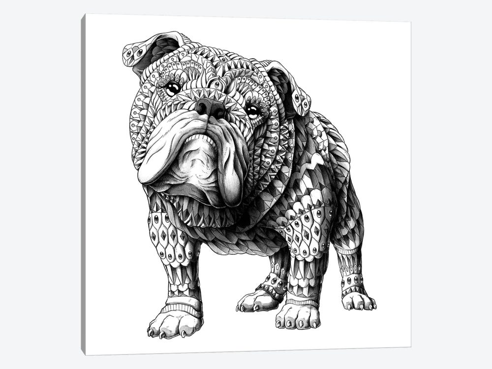 English Bulldog by Bioworkz 1-piece Art Print