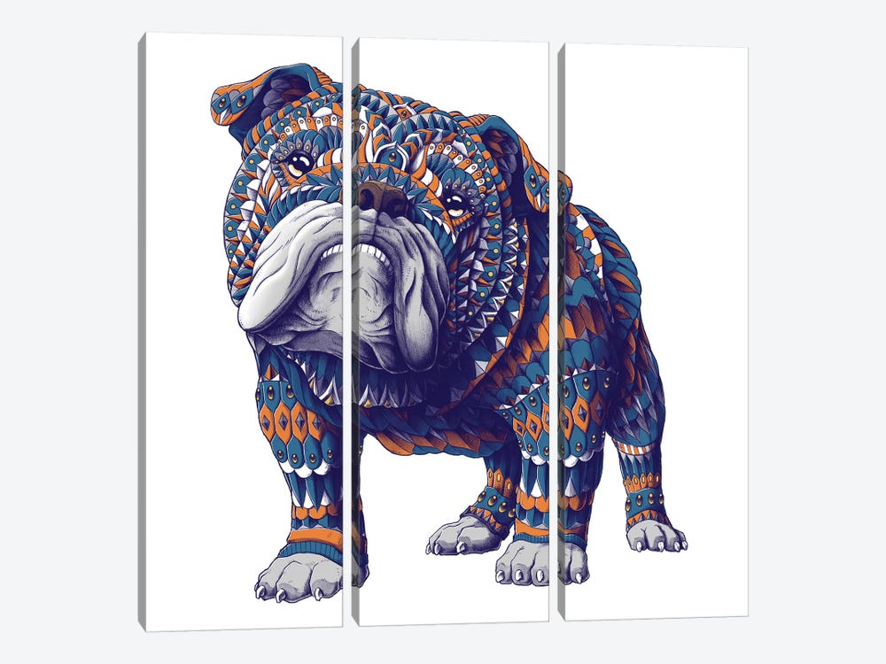 English Bulldog In Color I by Bioworkz 3-piece Canvas Artwork