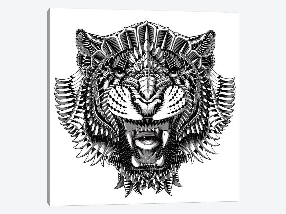 black and white tiger eyes drawing