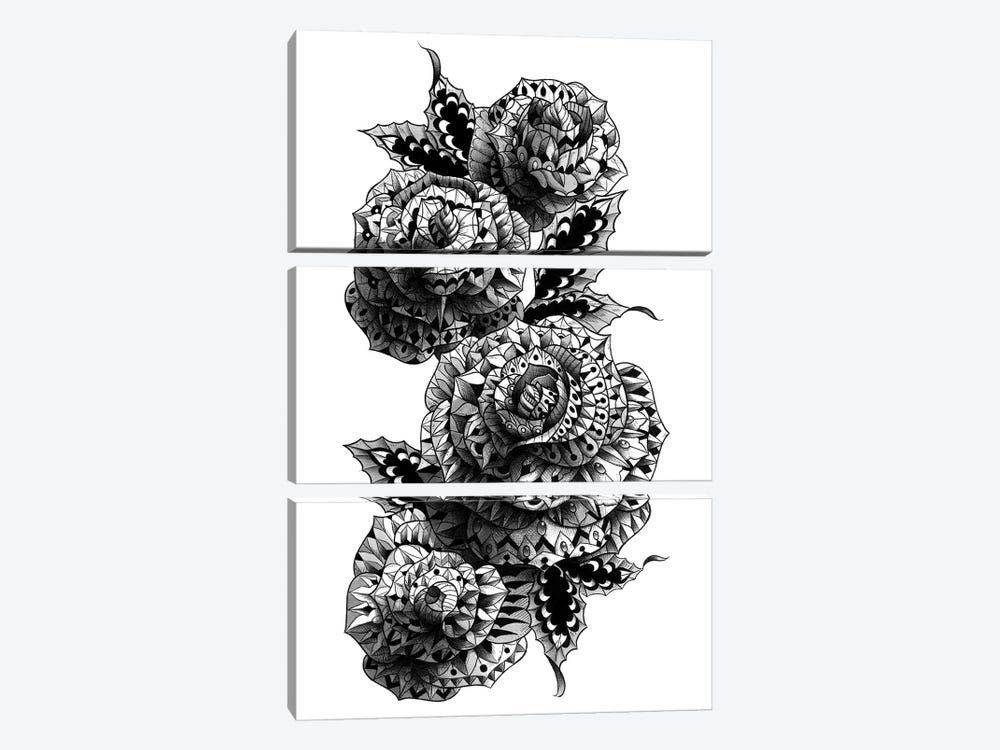 Four Roses by Bioworkz 3-piece Canvas Art Print