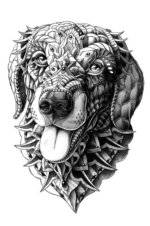 Golden Retriever by Bioworkz wall art
