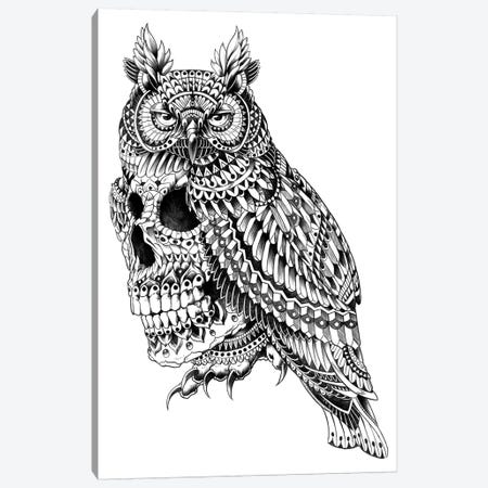 Great Horned Skull Canvas Print #BWZ58} by Bioworkz Canvas Wall Art