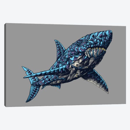Great White Shark In Color I Canvas Print #BWZ59} by Bioworkz Canvas Artwork