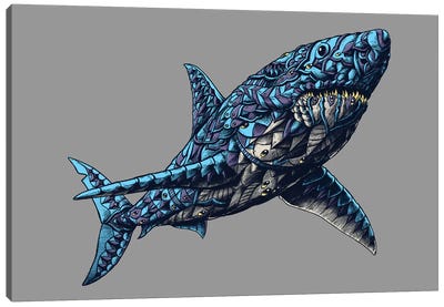 Great White Shark In Color I Canvas Art Print - Bioworkz