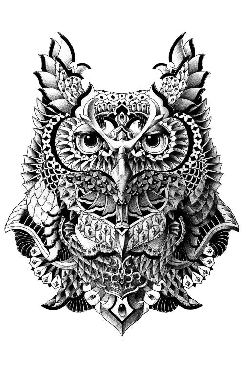 Century Owl