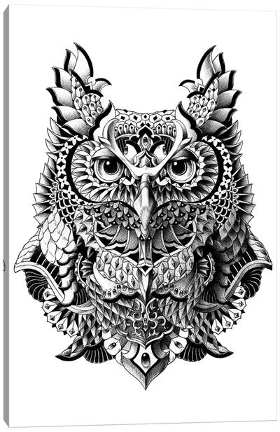Century Owl Canvas Art Print - Bioworkz