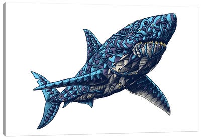 Great White Shark In Color II Canvas Art Print - Shark Art