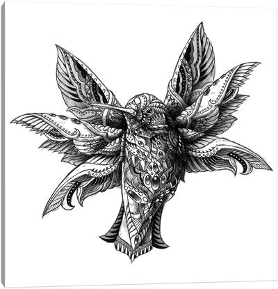 Hummingbird Canvas Art Print - Bioworkz