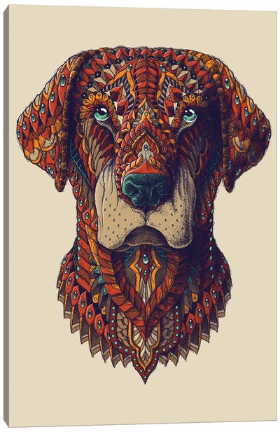 Labrador In Color I Canvas Art Print - Bioworkz
