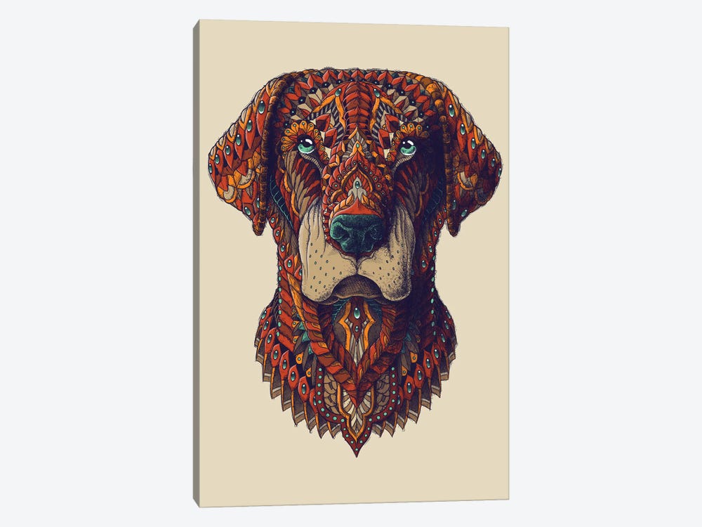 Labrador In Color I by Bioworkz 1-piece Canvas Art Print