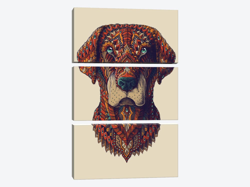 Labrador In Color I by Bioworkz 3-piece Art Print