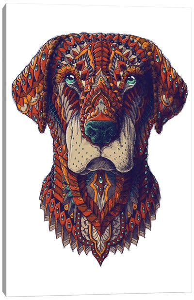 Labrador In Color II Canvas Art Print - Labrador Retriever Art