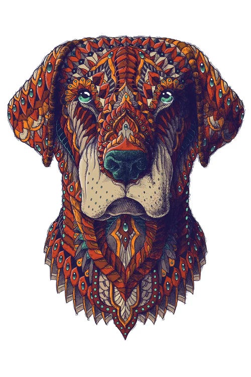 Labrador In Color II